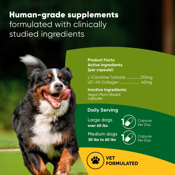 Joint & Muscle Health Capsules with UC-II Collagen and L-Carnitine for Medium and Large Dogs, photo 2