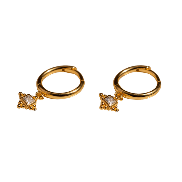 Petite Cubic Zirconia Hoop Earrings, photo 1
