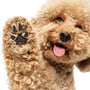 Bálsamo orgánico Paw Rescue para patas de perro, foto 3