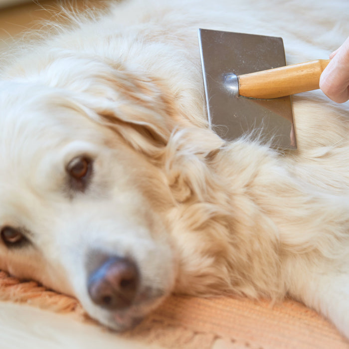Champú 3 en 1 con acondicionador para el control de la muda en perros, foto 4