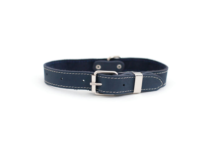Pro Line Leather Dog Collar, photo 2