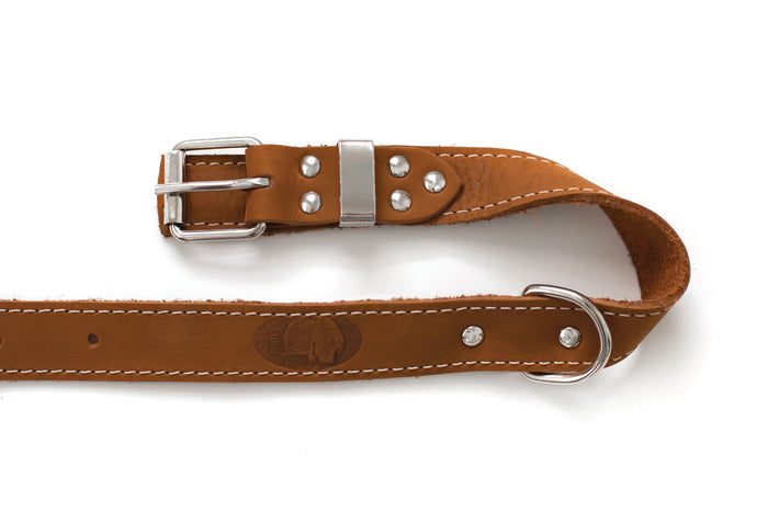 Pro Line Leather Dog Collar, photo 12