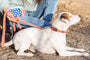 Quick-Release Leather Collar and Leash Set, photo 7