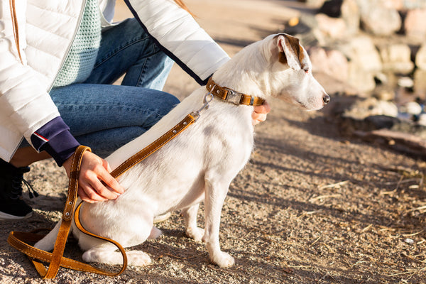 Traditional Earth Brown Leather Dog Leash, photo 2
