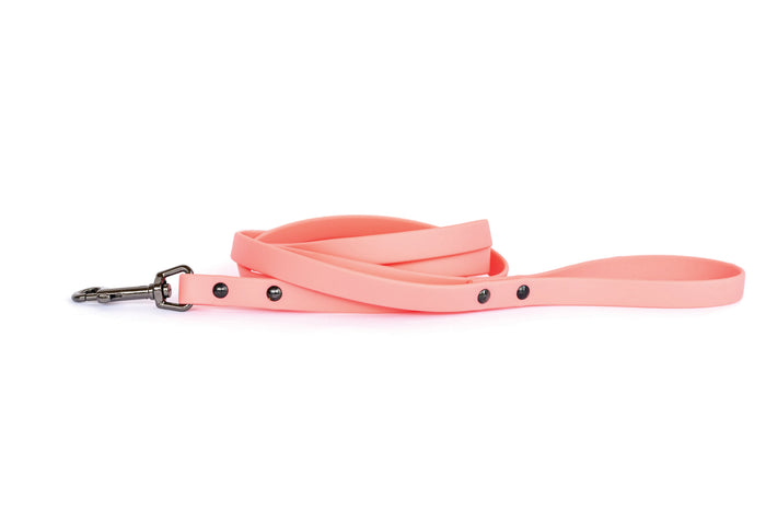 Correa impermeable de PVC suave para perro, foto 3