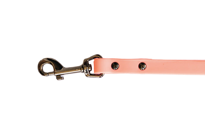 Correa impermeable de PVC suave para perro, foto 5