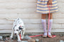 Correa impermeable de PVC suave para perro, foto 8