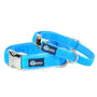 Turquoise Velvet Essential Martingale Dog Collar, photo 1