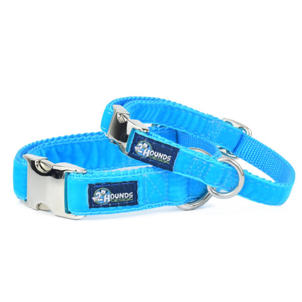 Turquoise Velvet Essential Buckle Martingale Dog Collar, photo 1