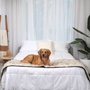 Piecera impermeable PupProtector, blanco con detalles marrones, foto 13