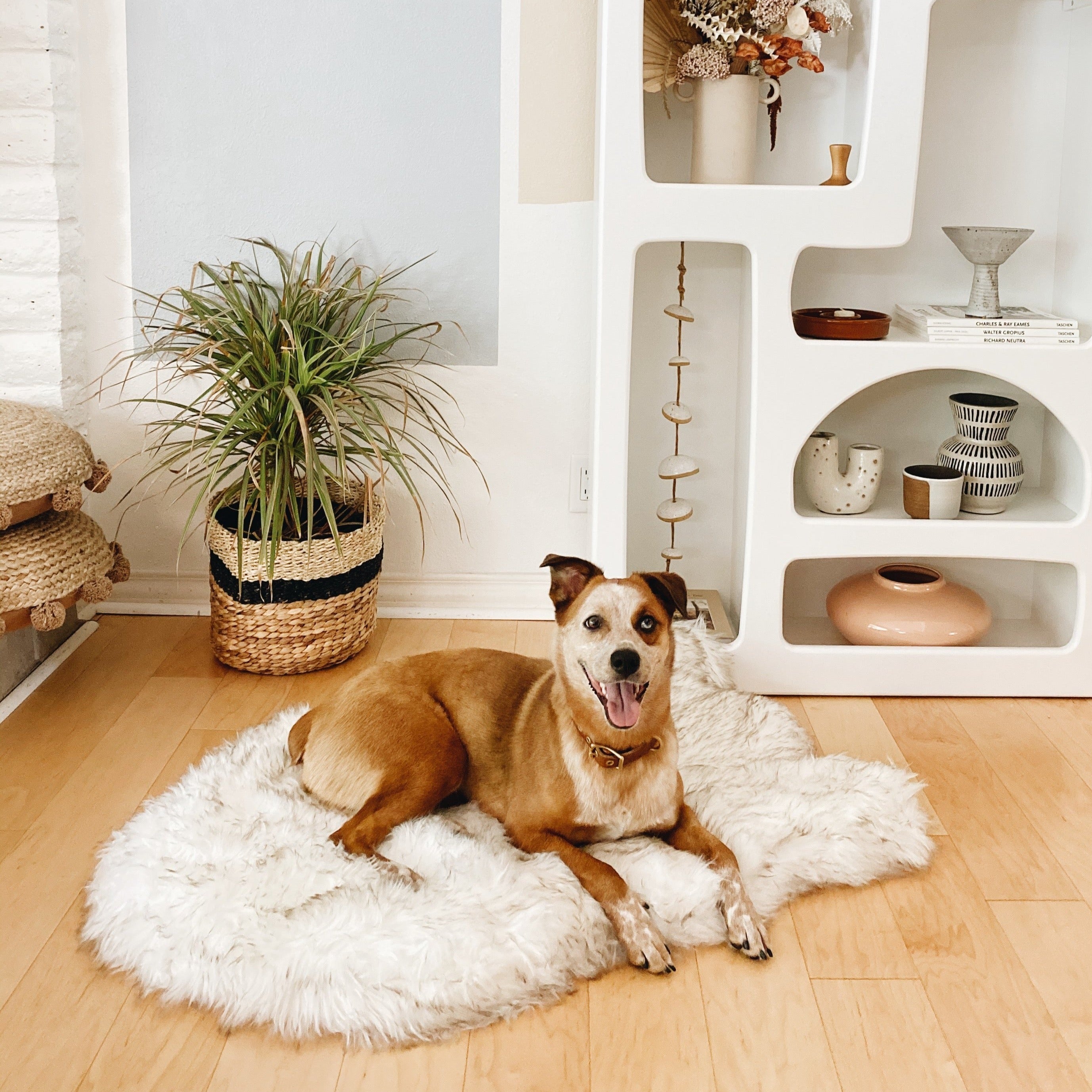 PupRug Curve Faux Fur Orthopedic Dog Bed, White with Brown Accents, photo 3