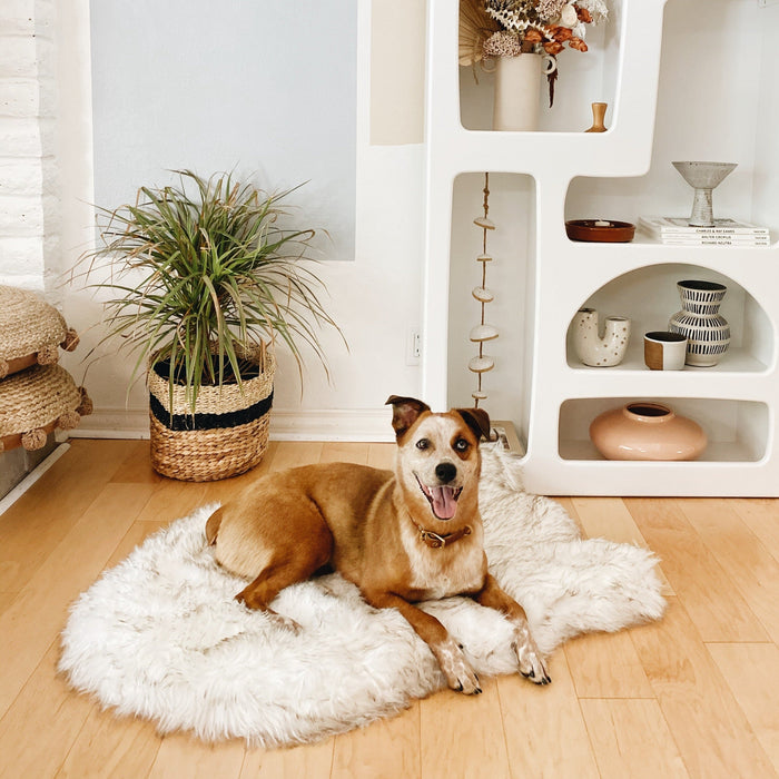 PupRug Curve Faux Fur Orthopedic Dog Bed, White with Brown Accents, photo 3