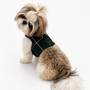 Green Plaid Harness, photo 2