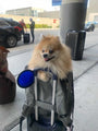 Aspen Backpack Pet Carrier, photo 15
