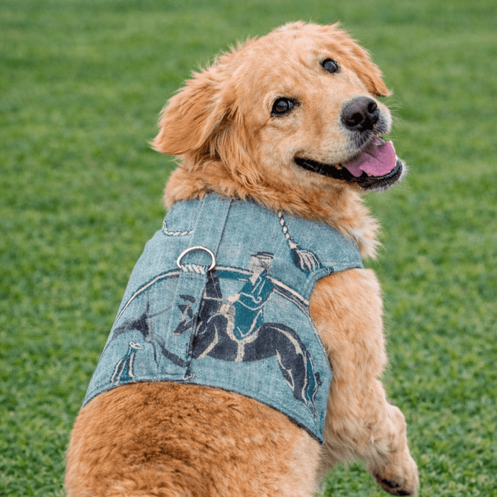 Arnés para perro Luxury Equestrian Linen, foto 2