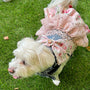 Vestido para perro LovePackPuppy, foto 3