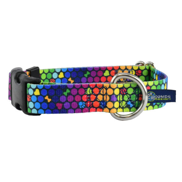 Collar para perro ROY G BIV EarthStyle, foto 1