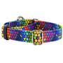 Collar martingala para perro ROY G BIV EarthStyle, foto 1