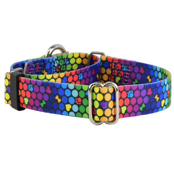 Collar martingala para perro ROY G BIV EarthStyle, foto 1