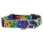 Collar martingala con hebilla para perro ROY G BIV EarthStyle, foto 1