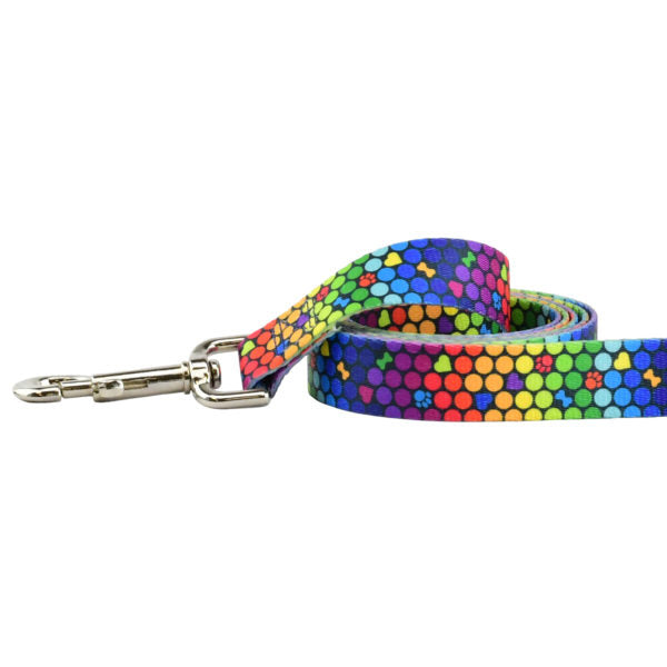 Correa para perro ROY G BIV EarthStyle, foto 1