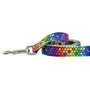 Correa para perro ROY G BIV EarthStyle, foto 1