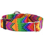 Collar martingala para perro BFF (Best Friends Forever) EarthStyle, foto 2