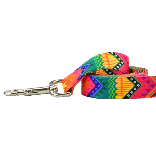Correa para perro BFF (Best Friends Forever) EarthStyle, foto 1