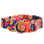 Collar martingala con hebilla para perro Classic Tie-Dye EarthStyle, foto 2