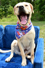 Bandana para perro Love Graffiti Blue, foto 2