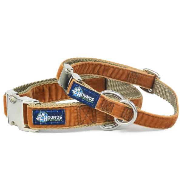 Antique Gold Velvet Essential Buckle Martingale Dog Collar, photo 1