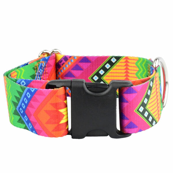 Collar para perro BFF (Best Friends Forever) EarthStyle, foto 2