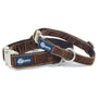Brown Velvet Essential Buckle Martingale Dog Collar, photo 1