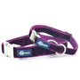 Burgundy Velvet Essential Martingale Dog Collar, photo 1