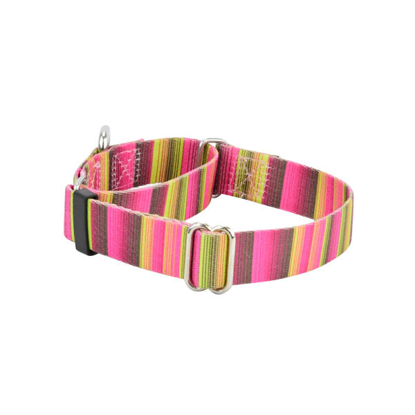 Collar martingala para perro Bonnie EarthStyle, foto 1