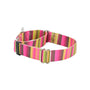 Collar martingala para perro Bonnie EarthStyle, foto 1