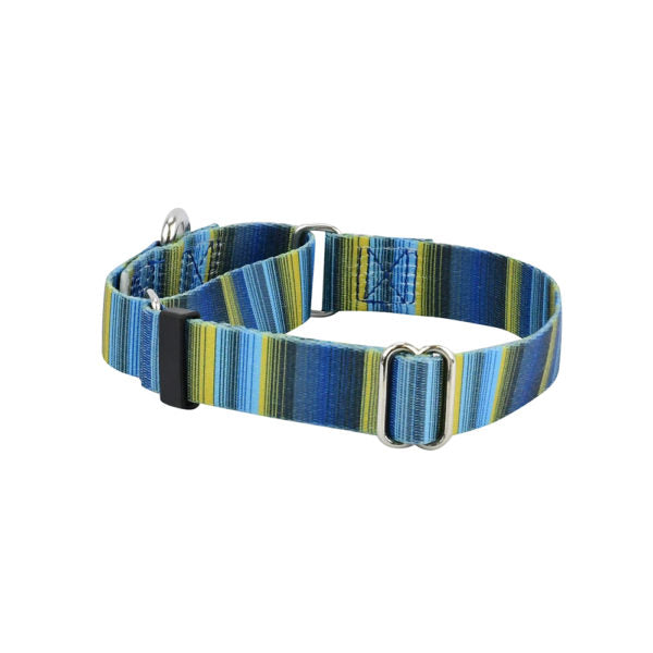 Collar martingala para perro Clyde EarthStyle, foto 1