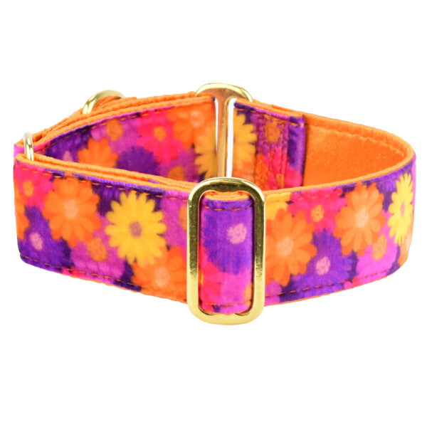 Collar martingala Elite Velvet Gerbera Daisy, foto 2