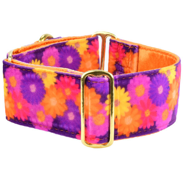 Collar martingala Elite Velvet Gerbera Daisy, foto 1