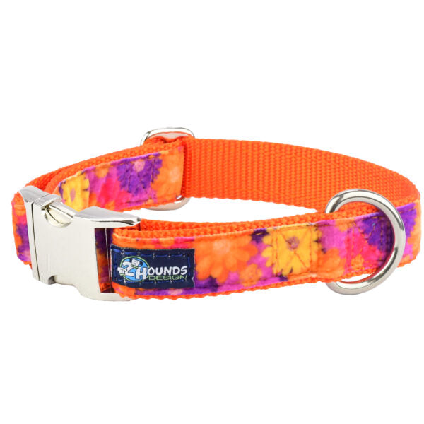 Gerbera Daisy Velvet Essential Dog Collar, photo 1