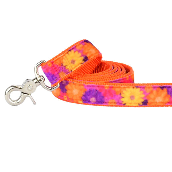 Gerbera Daisy Velvet Dog Leash, photo 1
