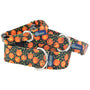 Collar martingala con hebilla para perro Jack O Lantern EarthStyle, foto 1