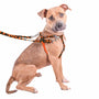 Arnés antitirones para perro Freedom No-Pull Jack O Lantern EarthStyle, foto 8