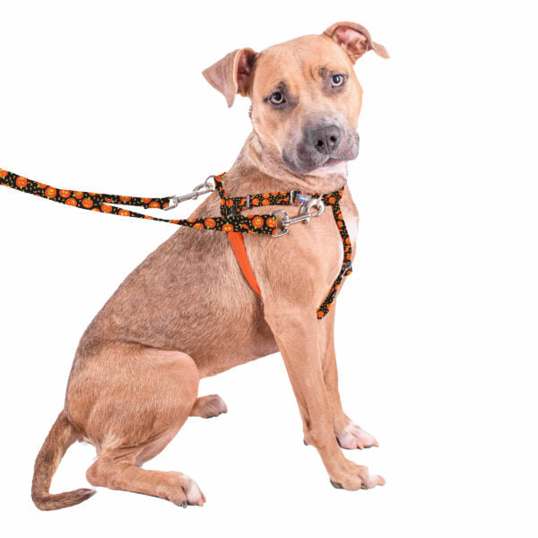 Arnés antitirones para perro Freedom No-Pull Jack O Lantern EarthStyle, foto 8