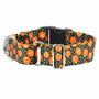 Collar martingala con hebilla para perro Jack O Lantern EarthStyle, foto 2