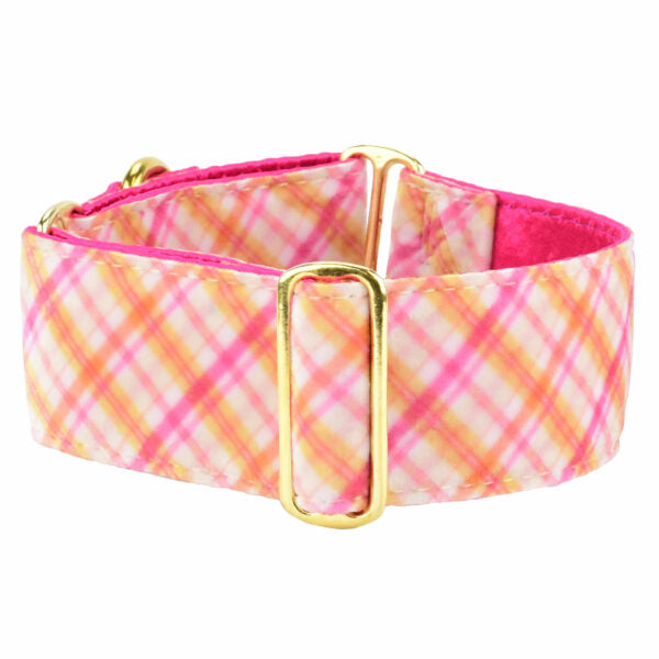 Pink Plaid Elite Velvet Buckle Martingale Dog Collar, photo 1