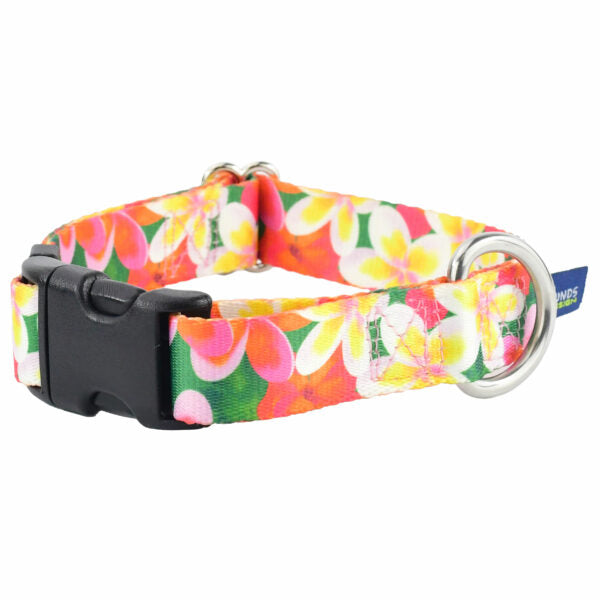 Collar para perro Aloha EarthStyle, foto 3