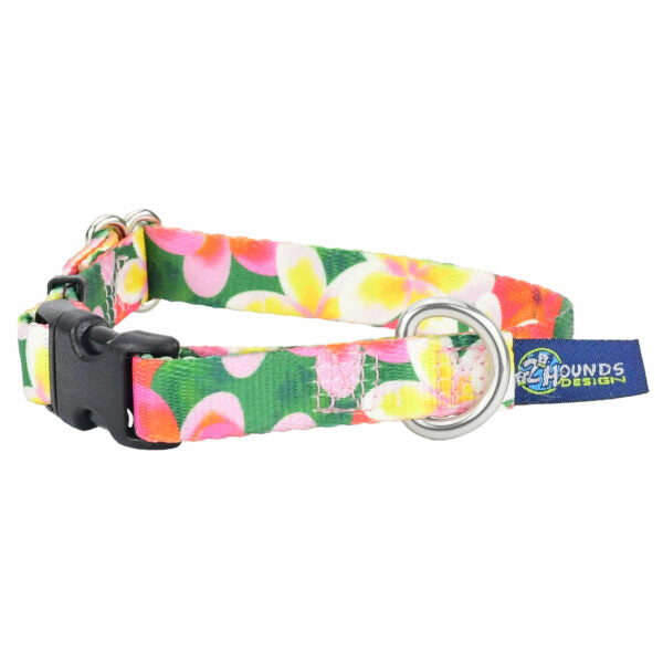 Collar para perro Aloha EarthStyle, foto 2