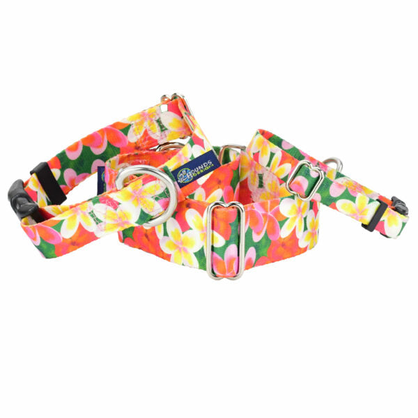 Collar para perro Aloha EarthStyle, foto 1
