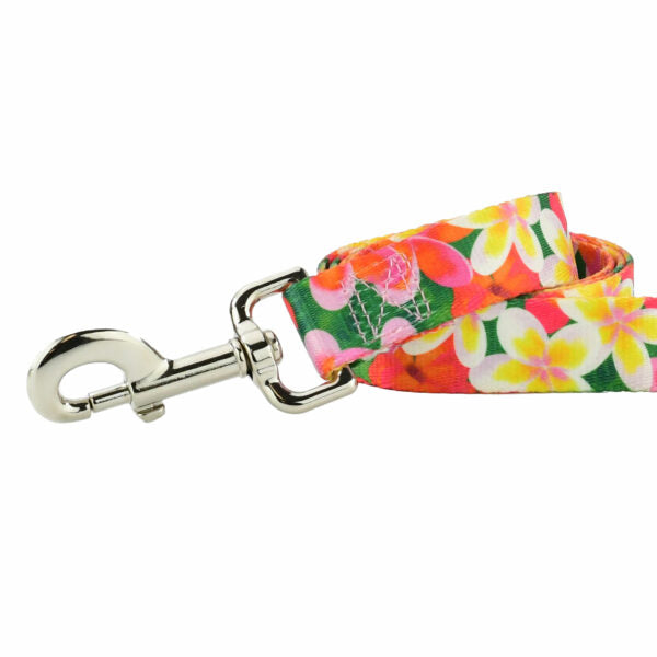 Correa para perro Aloha EarthStyle, foto 1